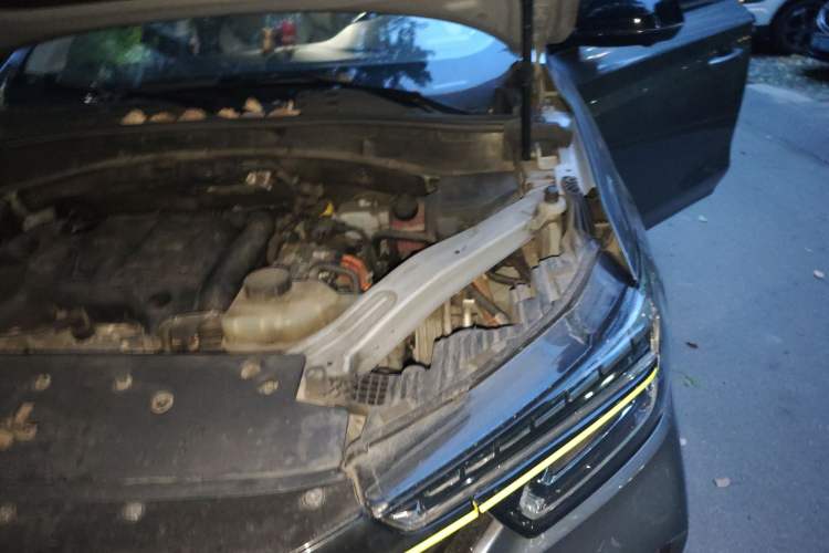 Used Roewe RX5 New Energy 2020 ePLUS National Trend Ronglin Luxury Edition Engine Bay Left