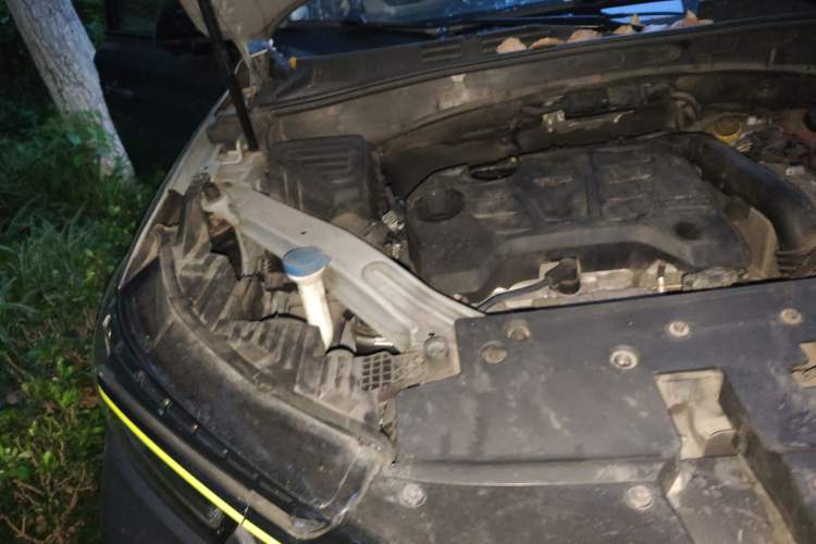 Used Roewe RX5 New Energy 2020 ePLUS National Trend Ronglin Luxury Edition Engine Bay Right