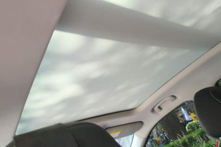Used Roewe RX5 New Energy 2020 ePLUS National Trend Ronglin Flagship Edition Headliner