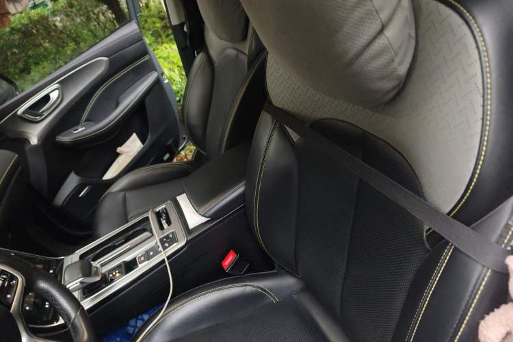 Used Roewe RX5 New Energy 2020 ePLUS National Trend Ronglin Luxury Edition Left Front Seat