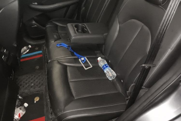 Used Roewe RX5 New Energy 2020 ePLUS National Trend Ronglin Luxury Edition Left Rear Seat