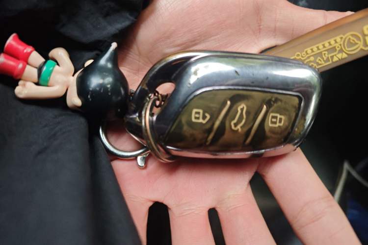 Used Roewe RX5 New Energy 2020 ePLUS National Trend Ronglin Luxury Edition Vehicle Key