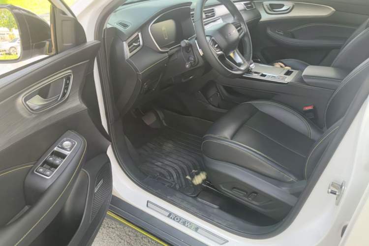 Used Roewe RX5 New Energy 2020 ePLUS National Trend Ronglin Luxury Edition Driver Seat