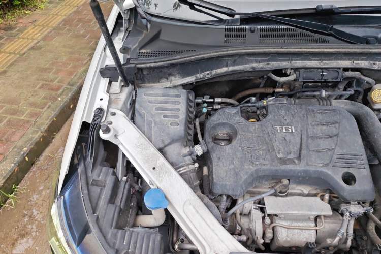 Used Roewe RX5 New Energy 2020 ePLUS National Trend Ronglin Luxury Edition Engine Bay Right