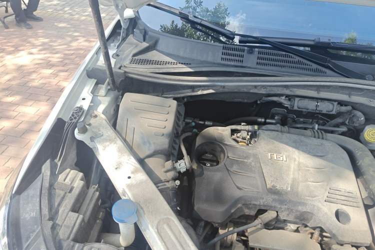 Used Roewe RX5 New Energy 2020 ePLUS National Trend Ronglin Luxury Edition Engine Bay Right