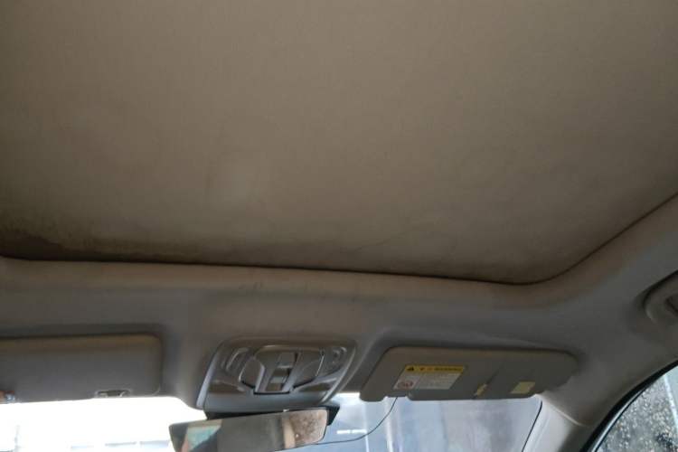 Used Roewe RX5 New Energy 2020 ePLUS National Trend Ronglin Luxury Edition Headliner