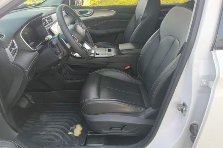 Used Roewe RX5 New Energy 2020 ePLUS National Trend Ronglin Luxury Edition Left Front Seat