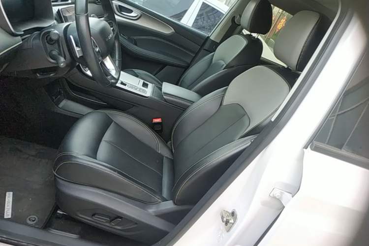 Used Roewe RX5 New Energy 2020 ePLUS National Trend Ronglin Luxury Edition Left Front Seat