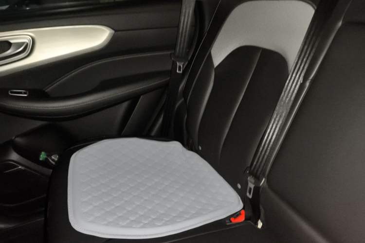 Used Roewe RX5 New Energy 2020 ePLUS National Trend Ronglin Luxury Edition Left Rear Seat