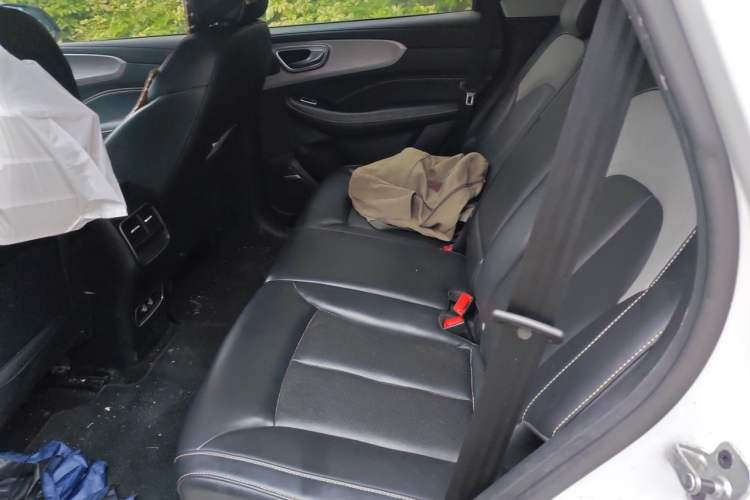 Used Roewe RX5 New Energy 2020 ePLUS National Trend Ronglin Luxury Edition Left Rear Seat