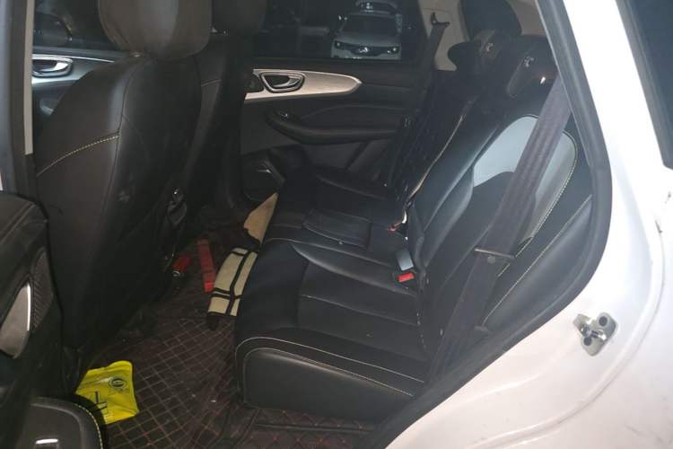 Used Roewe RX5 New Energy 2020 ePLUS National Trend Ronglin Luxury Edition Left Rear Seat