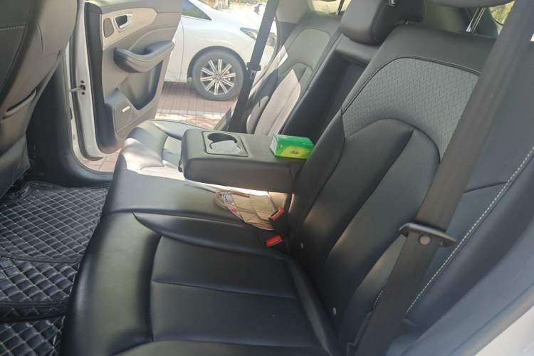 Used Roewe RX5 New Energy 2020 ePLUS National Trend Ronglin Luxury Edition Left Rear Seat