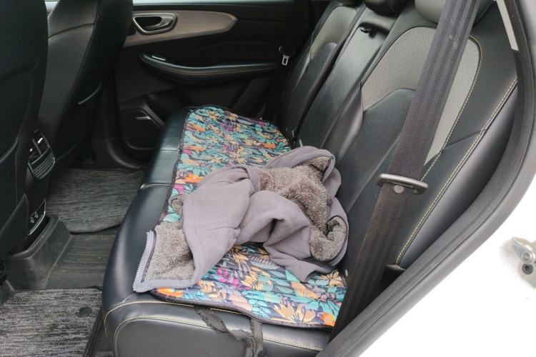 Used Roewe RX5 New Energy 2020 ePLUS National Trend Ronglin Luxury Edition Left Rear Seat