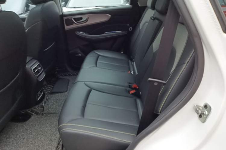 Used Roewe RX5 New Energy 2020 ePLUS National Trend Ronglin Flagship Edition Left Rear Seat
