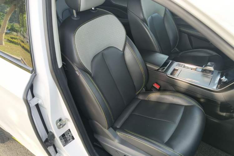 Used Roewe RX5 New Energy 2020 ePLUS National Trend Ronglin Flagship Edition Right Front Seat
