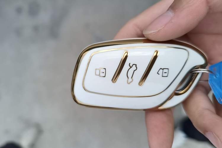 Used Roewe RX5 New Energy 2020 ePLUS National Trend Ronglin Luxury Edition Vehicle Key