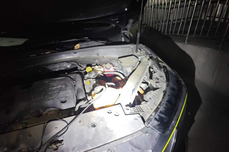 Used Roewe RX5 New Energy 2021 ePLUS National Trend Ronglin Flagship Edition Engine Bay Left