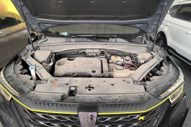 Used Roewe RX5 New Energy 2021 ePLUS National Trend Ronglin Luxury Edition Engine Bay