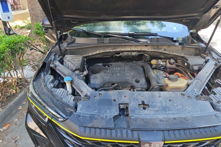 Used Roewe RX5 New Energy 2021 ePLUS National Trend Ronglin Luxury Edition Engine Bay Right