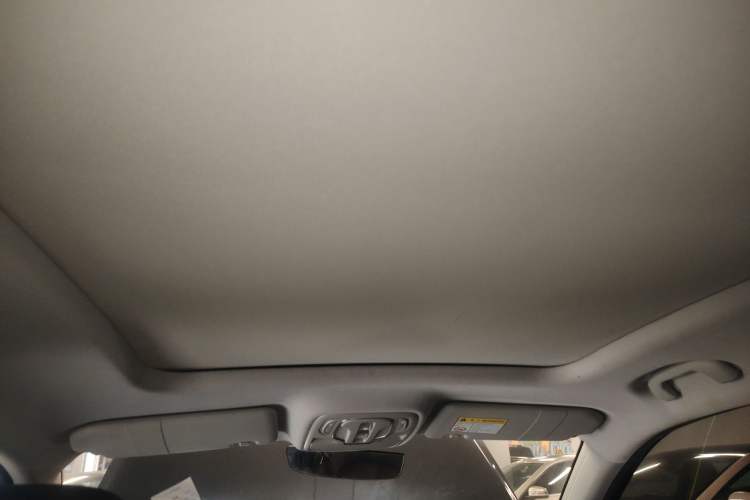 Used Roewe RX5 New Energy 2021 ePLUS National Trend Ronglin Luxury Edition Headliner
