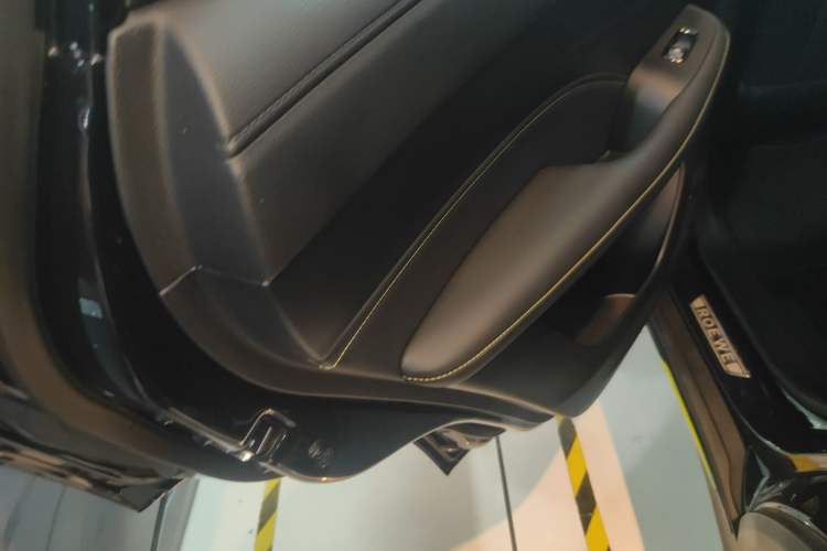 Used Roewe RX5 New Energy 2021 ePLUS National Trend Ronglin Luxury Edition Left Rear Door Interior