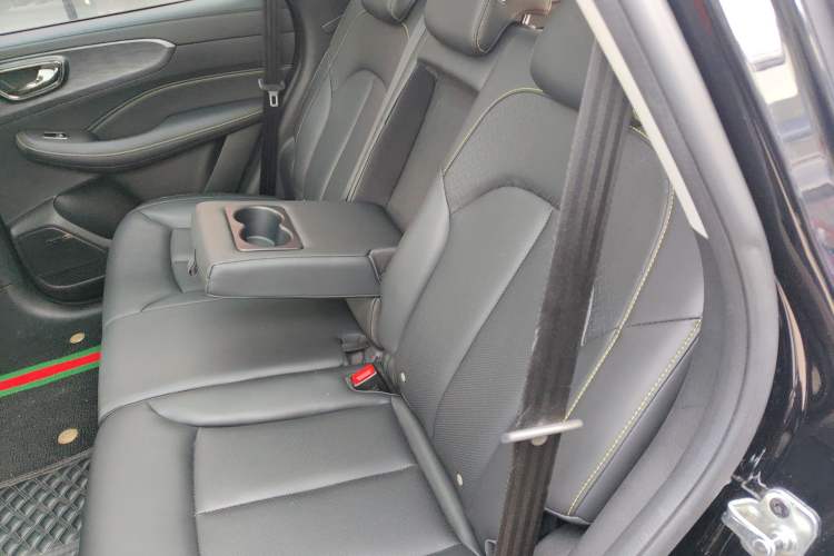Used Roewe RX5 New Energy 2021 ePLUS National Trend Ronglin Luxury Edition Left Rear Seat