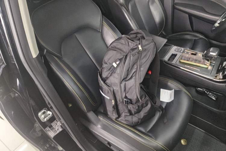 Used Roewe RX5 New Energy 2021 ePLUS National Trend Ronglin Flagship Edition Right Front Seat