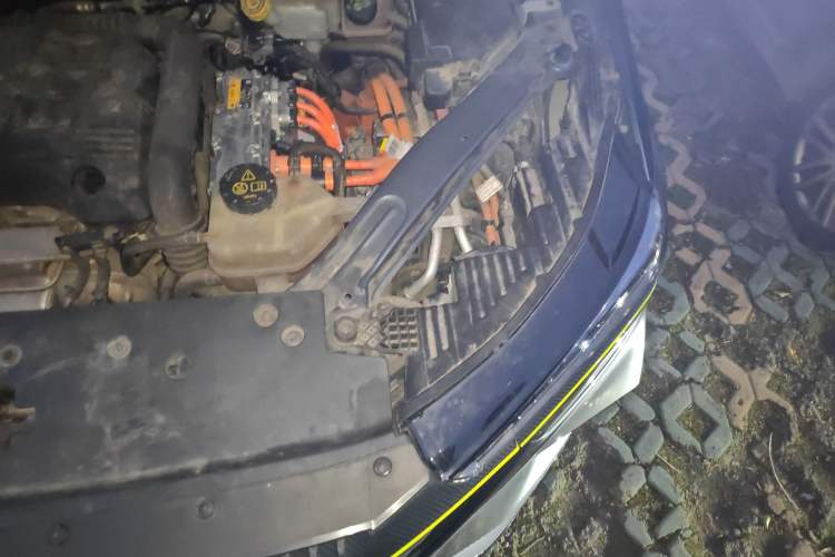 Used Roewe RX5 New Energy 2021 ePLUS National Trend Ronglin Luxury Edition Engine Bay Left