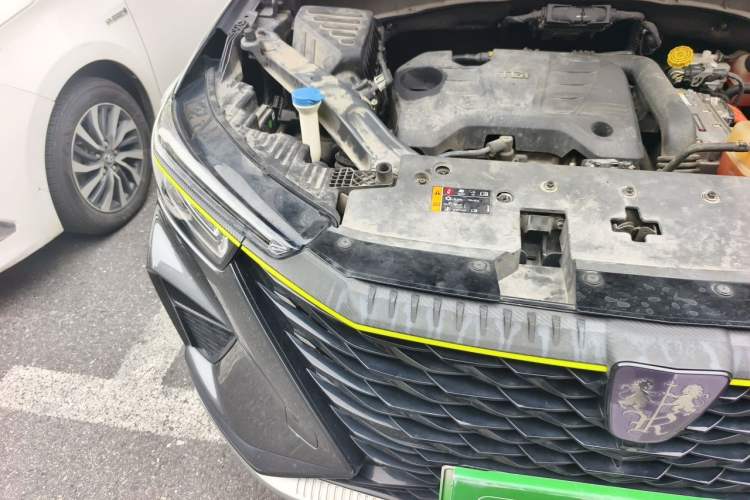 Used Roewe RX5 New Energy 2021 ePLUS National Trend Ronglin Luxury Edition Engine Bay Right