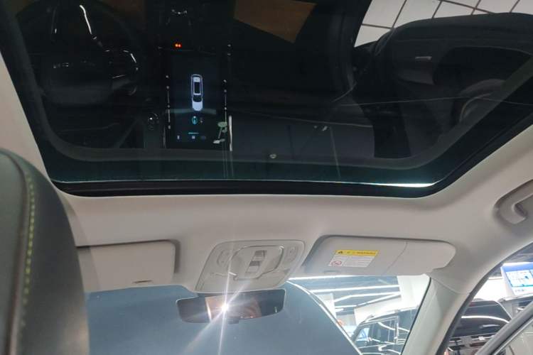 Used Roewe RX5 New Energy 2021 ePLUS National Trend Ronglin Luxury Edition Headliner
