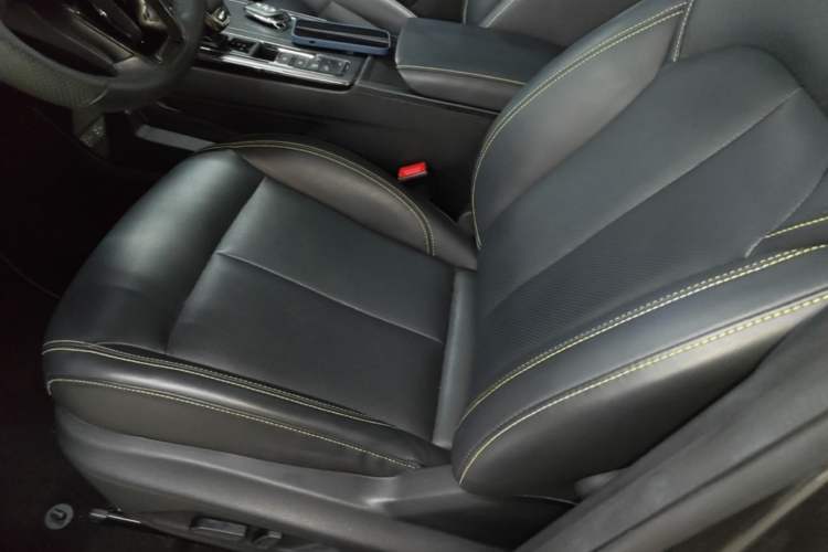 Used Roewe RX5 New Energy 2021 ePLUS National Trend Ronglin Luxury Edition Left Front Seat