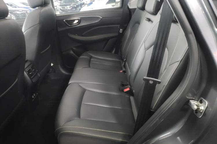 Used Roewe RX5 New Energy 2021 ePLUS National Trend Ronglin Luxury Edition Left Rear Seat