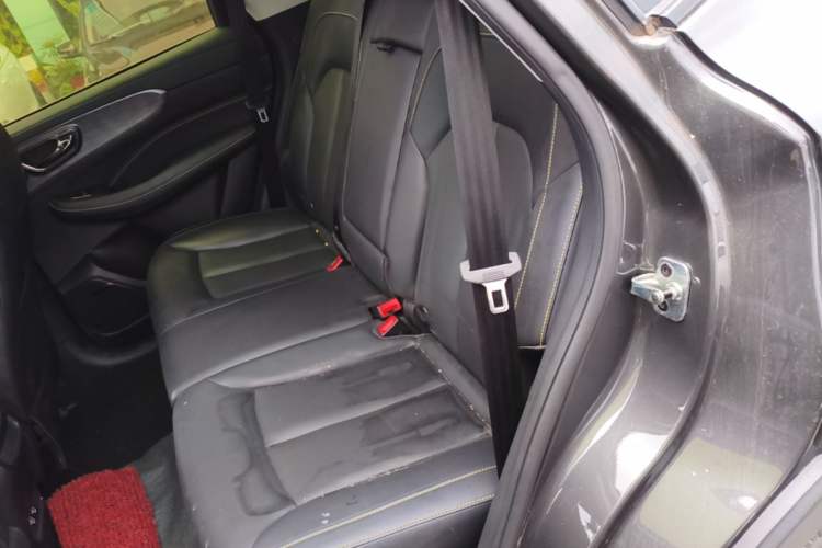 Used Roewe RX5 New Energy 2021 ePLUS National Trend Ronglin Luxury Edition Left Rear Seat