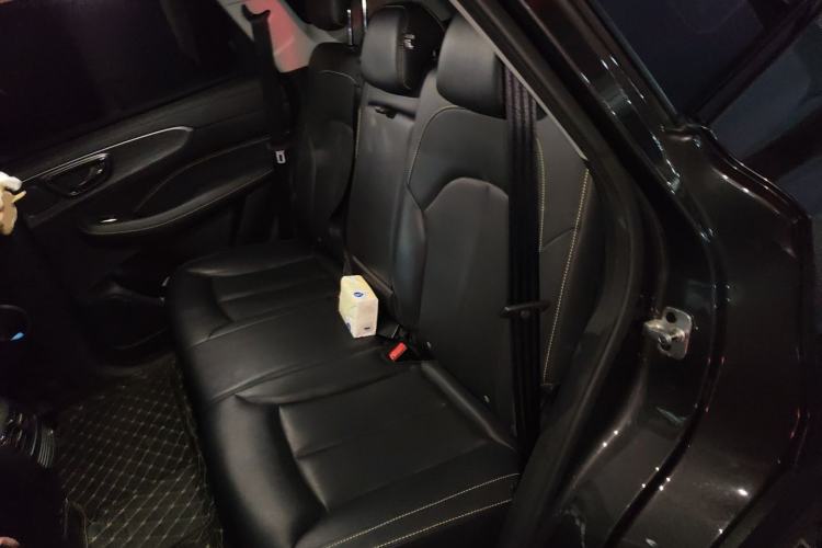 Used Roewe RX5 New Energy 2021 ePLUS National Trend Ronglin Luxury Edition Left Rear Seat
