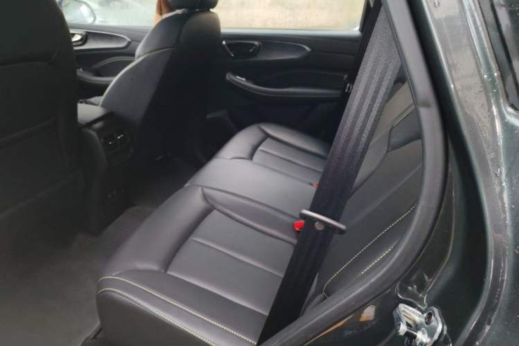 Used Roewe RX5 New Energy 2021 ePLUS National Trend Ronglin Luxury Edition Left Rear Seat