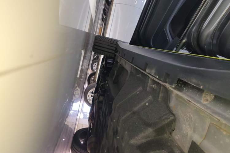 Used Roewe RX5 New Energy 2021 ePLUS National Trend Ronglin Luxury Edition Left Side Sill