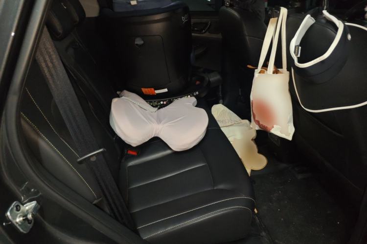 Used Roewe RX5 New Energy 2021 ePLUS National Trend Ronglin Luxury Edition Left Rear Seat