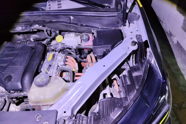 Used Roewe RX5 New Energy 2021 ePLUS National Trend Ronglin Flagship Edition Engine Bay Left