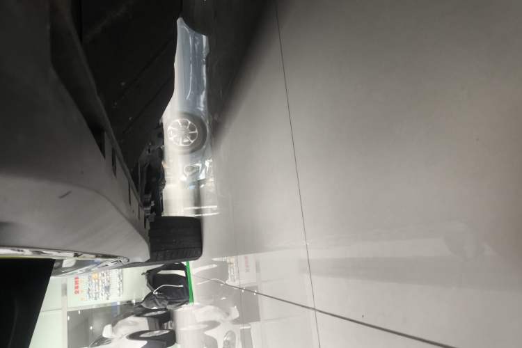 Used Roewe RX5 New Energy 2021 ePLUS National Trend Ronglin Luxury Edition Left Side Sill