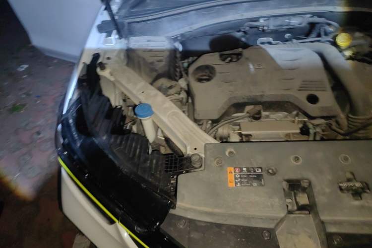 Used Roewe RX5 New Energy 2021 ePLUS National Trend Ronglin Flagship Edition Engine Bay Right