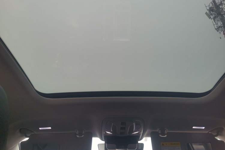 Used Roewe RX5 New Energy 2021 ePLUS National Trend Ronglin Luxury Edition Headliner