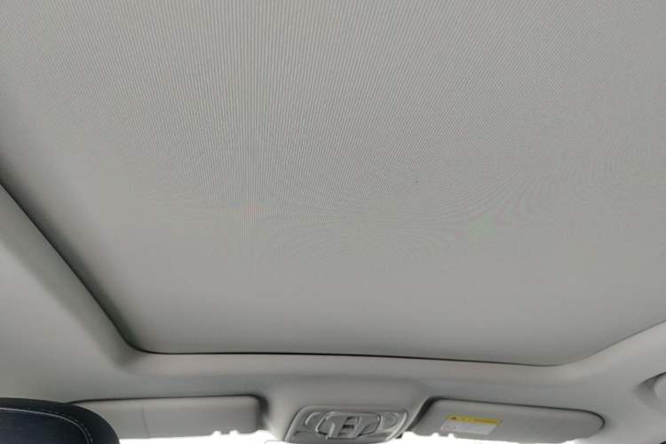 Used Roewe RX5 New Energy 2021 ePLUS National Trend Ronglin Luxury Edition Headliner