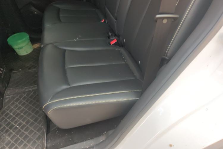 Used Roewe RX5 New Energy 2021 ePLUS National Trend Ronglin Flagship Edition Left Rear Seat