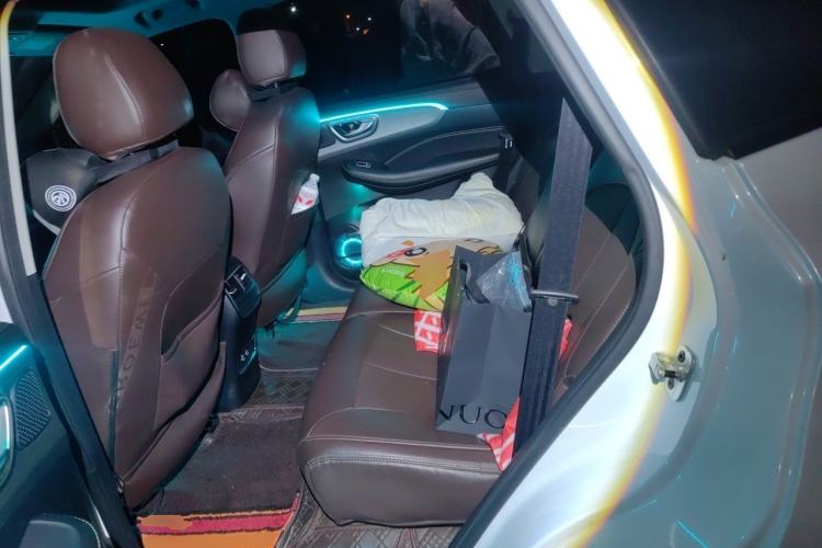 Used Roewe RX5 New Energy 2021 ePLUS National Trend Ronglin Flagship Edition Left Rear Seat