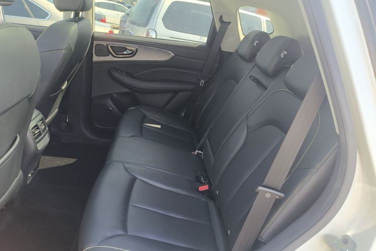 Used Roewe RX5 New Energy 2021 ePLUS National Trend Ronglin Luxury Edition Left Rear Seat