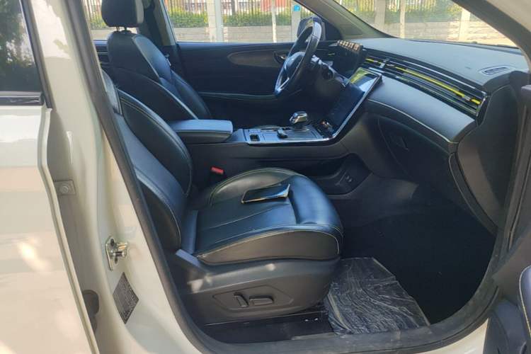 Used Roewe RX5 New Energy 2021 ePLUS National Trend Ronglin Luxury Edition Right Front Seat
