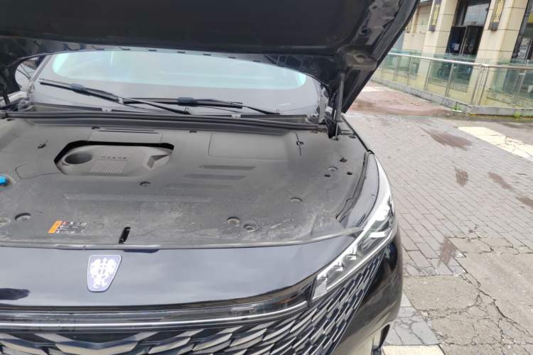 Used Roewe RX5 New Energy 2023 eRX5 Super Hybrid Prestige Edition Engine Bay Left