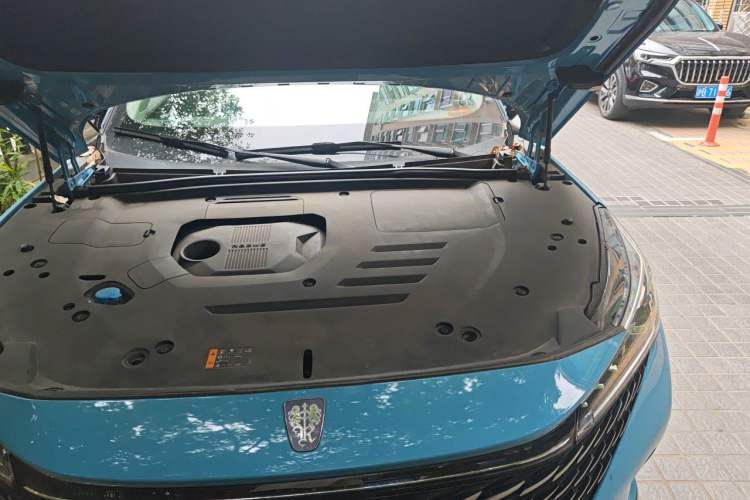 Used Roewe RX5 New Energy 2023 eRX5 Super Hybrid Prestige Edition Engine Bay Left