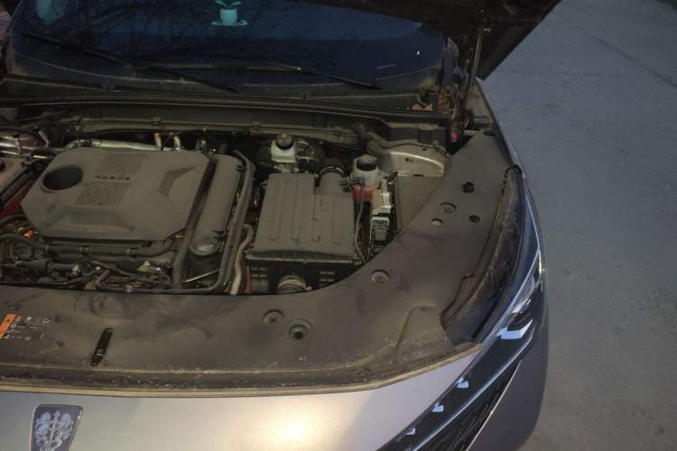 Used Roewe RX5 New Energy 2023 eRX5 Super Hybrid Premium Edition Engine Bay Left