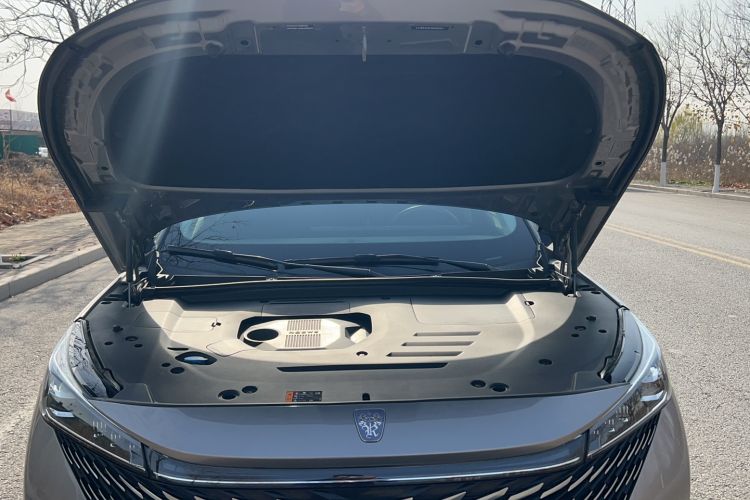 Used Roewe RX5 New Energy 2023 eRX5 Super Hybrid Prestige Edition Engine Bay
